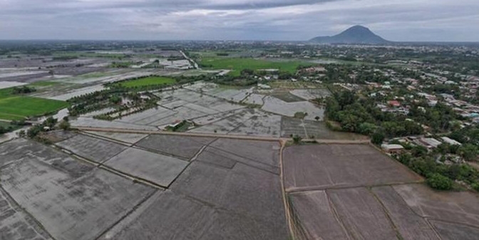 Tây Ninh: Xử lý nghiêm việc lấn chiếm, chuyển mục đích sử dụng và xây nhà trái phép trên đất trồng lúa