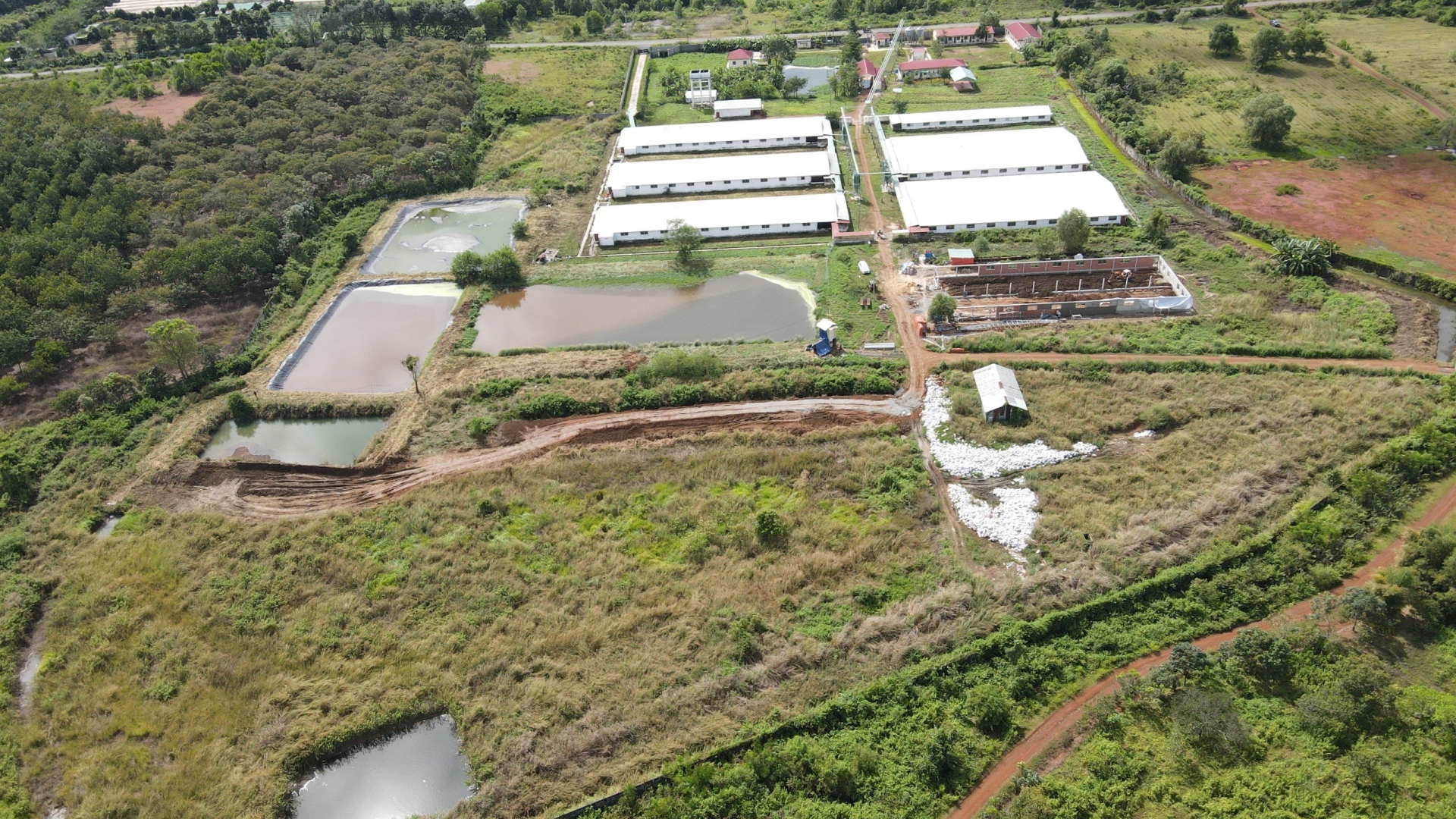 Hớn Quản: Đề nghị kiểm tra nguồn nước thải từ Trại chăn nuôi heo Công Ty TNHH Song Bích