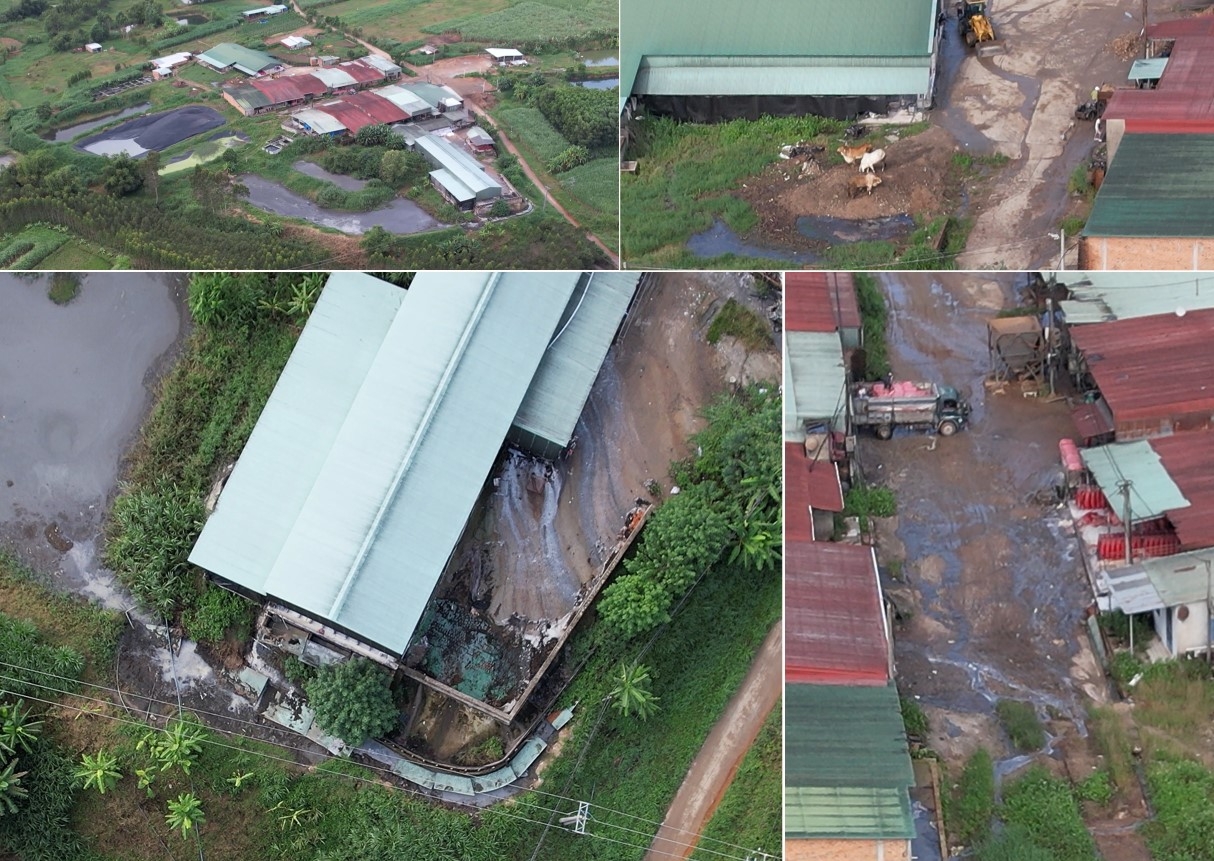 An Khê (Gia Lai): Đề nghị kiểm tra các công trình bảo vệ môi trường tại các xưởng sản xuất tinh bột sắn
