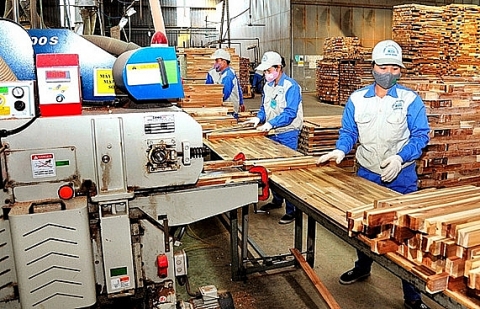 Bình Định: Phát triển ngành công nghiệp chế biến gỗ bền vững, hiệu quả