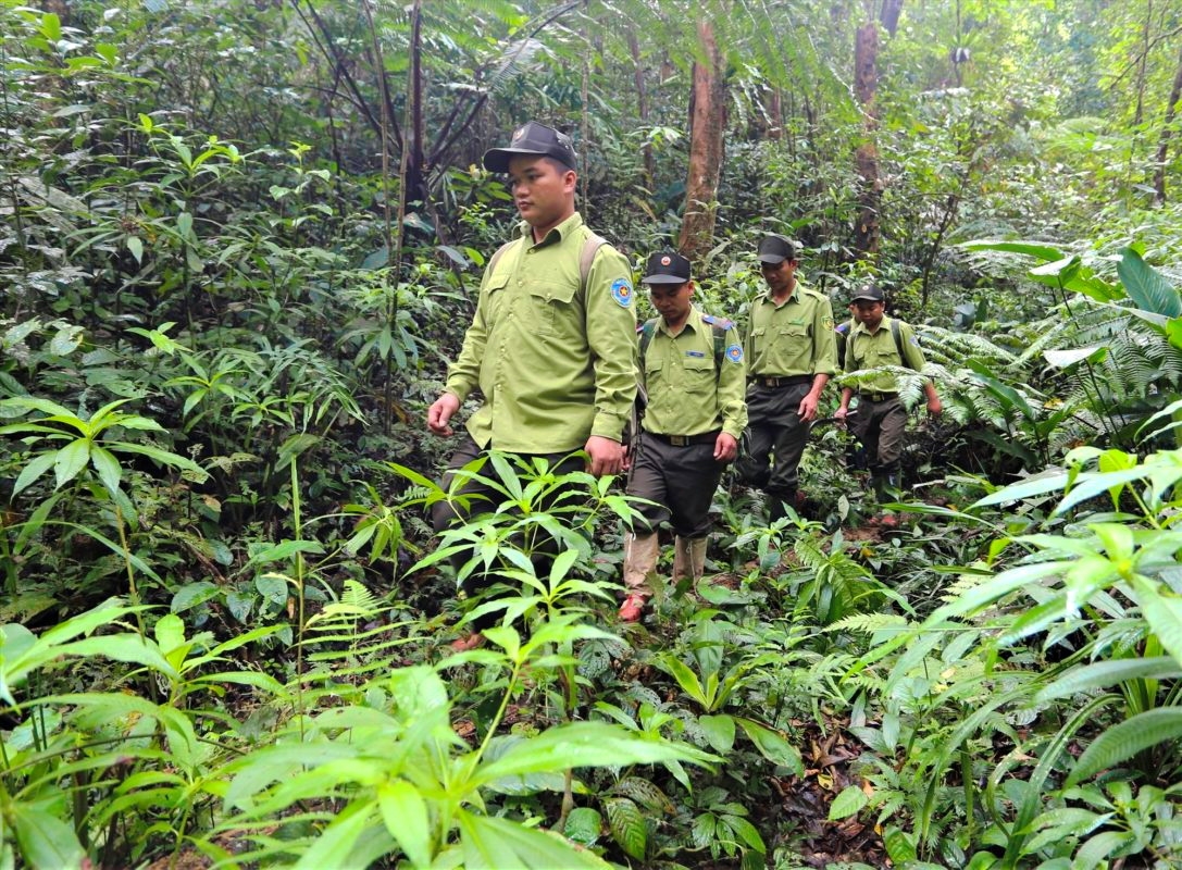 Tăng cường bảo vệ đa dạng sinh học tại Khu bảo tồn loài Sao la Quảng Nam