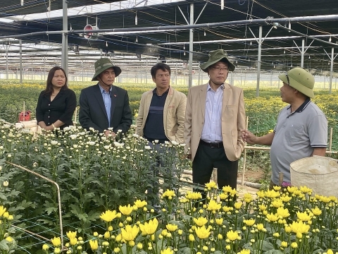 Lâm Đồng: Chủ tịch UBND huyện Lạc Dương đến thăm và động viên doanh nghiệp sản xuất đầu Xuân Giáp Thìn