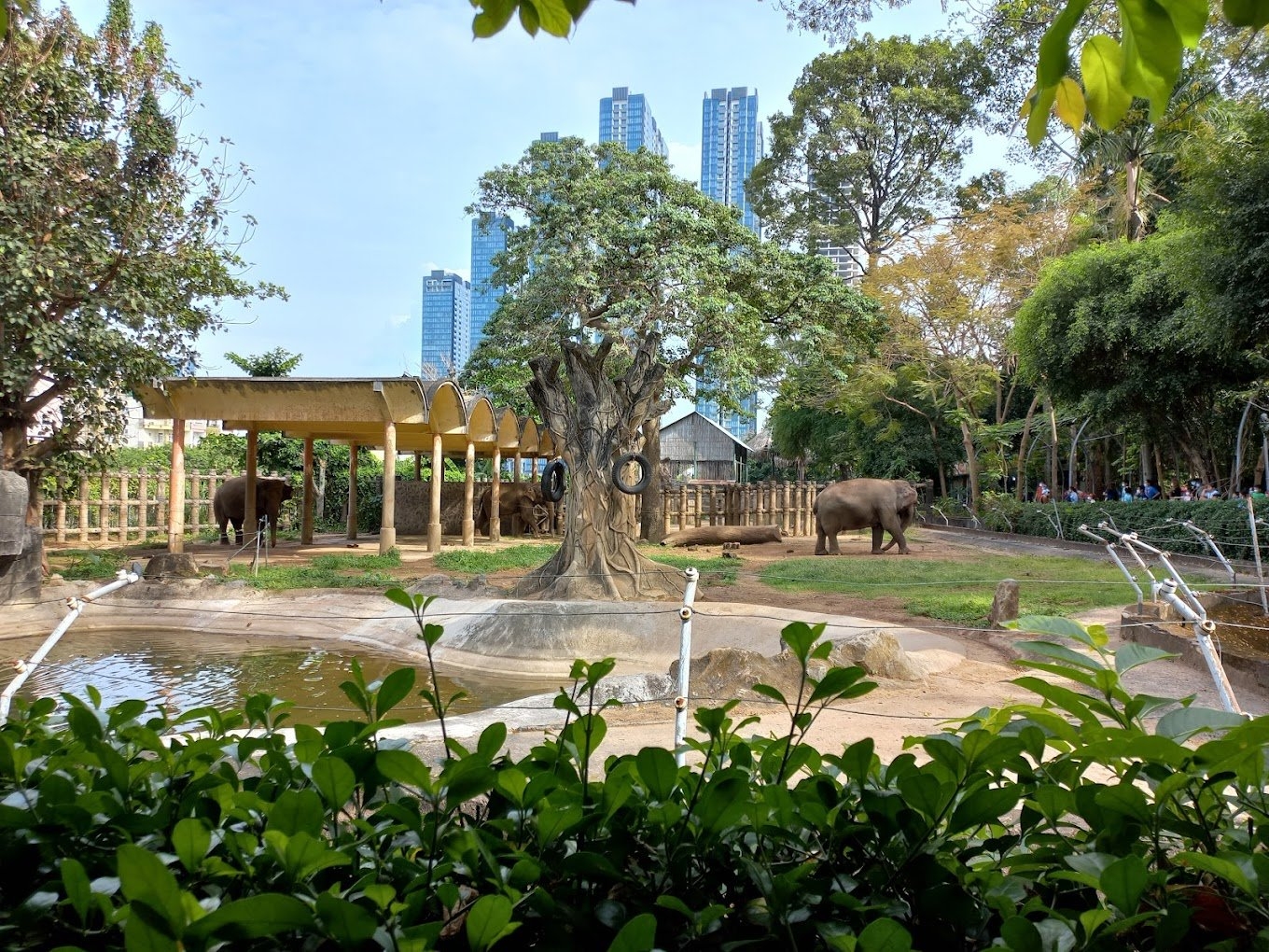 Ra sách về vườn thú lâu đời nhất thế giới ở trung tâm TP. Hồ Chí Minh