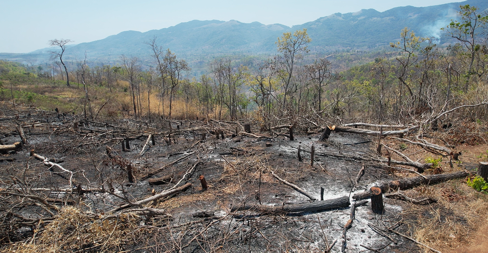 Huyện Kông Chro(Gia Lai): Nguyên nhân khiến rừng vẫn tiếp tục bị chặt phá, lấn chiếm đất rừng.