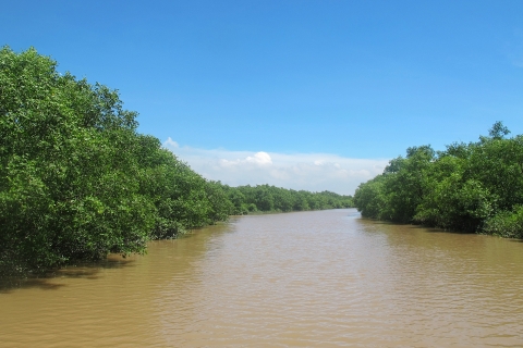 Phát triển rừng ngập mặn bảo vệ môi trường sinh thái tại huyện Thái Thụy