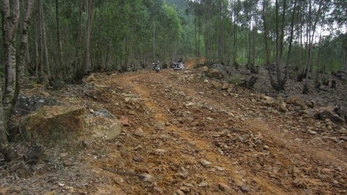 Thực hiện công tác bảo vệ rừng, phòng cháy chữa cháy rừng và quản lý lâm sản tại huyện Hoằng Hóa