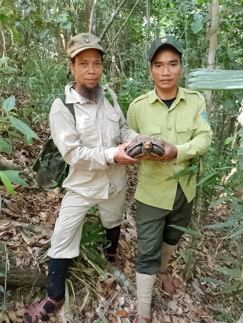 Quảng Nam: Giải cứu thành công 2 cá thể động vật hoang dã quý hiếm