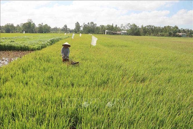 Xã Hà Vinh phát triển kinh tế toàn diện