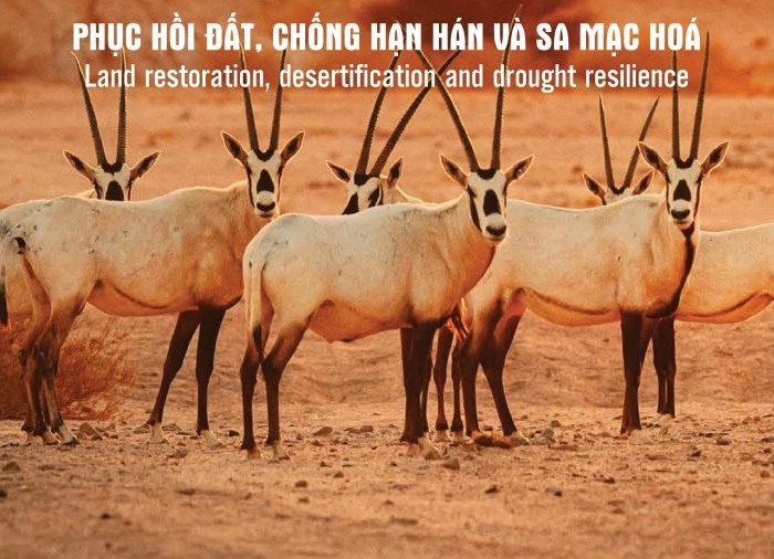 Nhấn vào ảnh để phóng to Hưởng ứng Ngày Môi trường thế giới 05/6 và Tháng hành động vì môi trường năm 2024