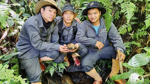 Nỗ lực bảo vệ màu xanh đại ngàn