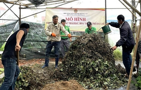 Đà Lạt: Biến lá dâu tây từ phụ phẩm nông nghiệp thành phân hữu cơ bảo vệ môi trường