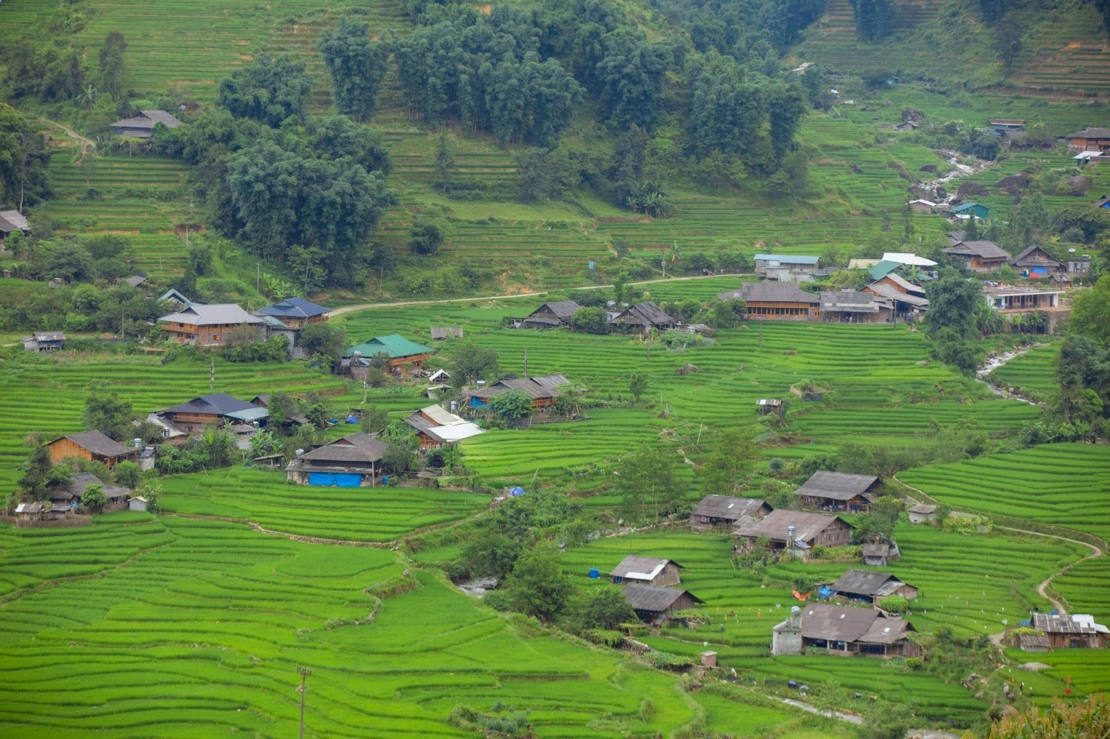 Vẻ đẹp siêu thực của Sa Pa mùa lúa xanh Vẻ đẹp siêu thực của Sa Pa mùa lúa xanh