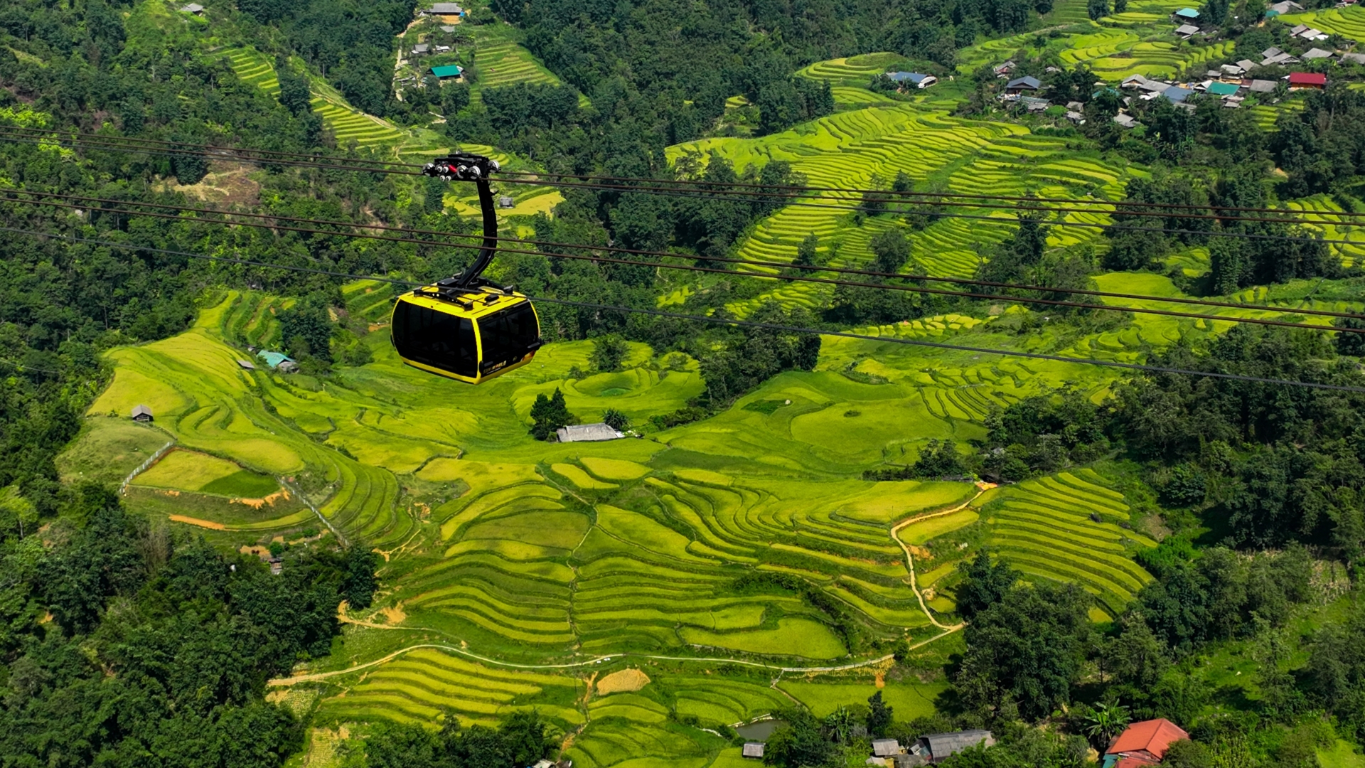 Vẻ đẹp siêu thực của Sa Pa mùa lúa xanh Vẻ đẹp siêu thực của Sa Pa mùa lúa xanh