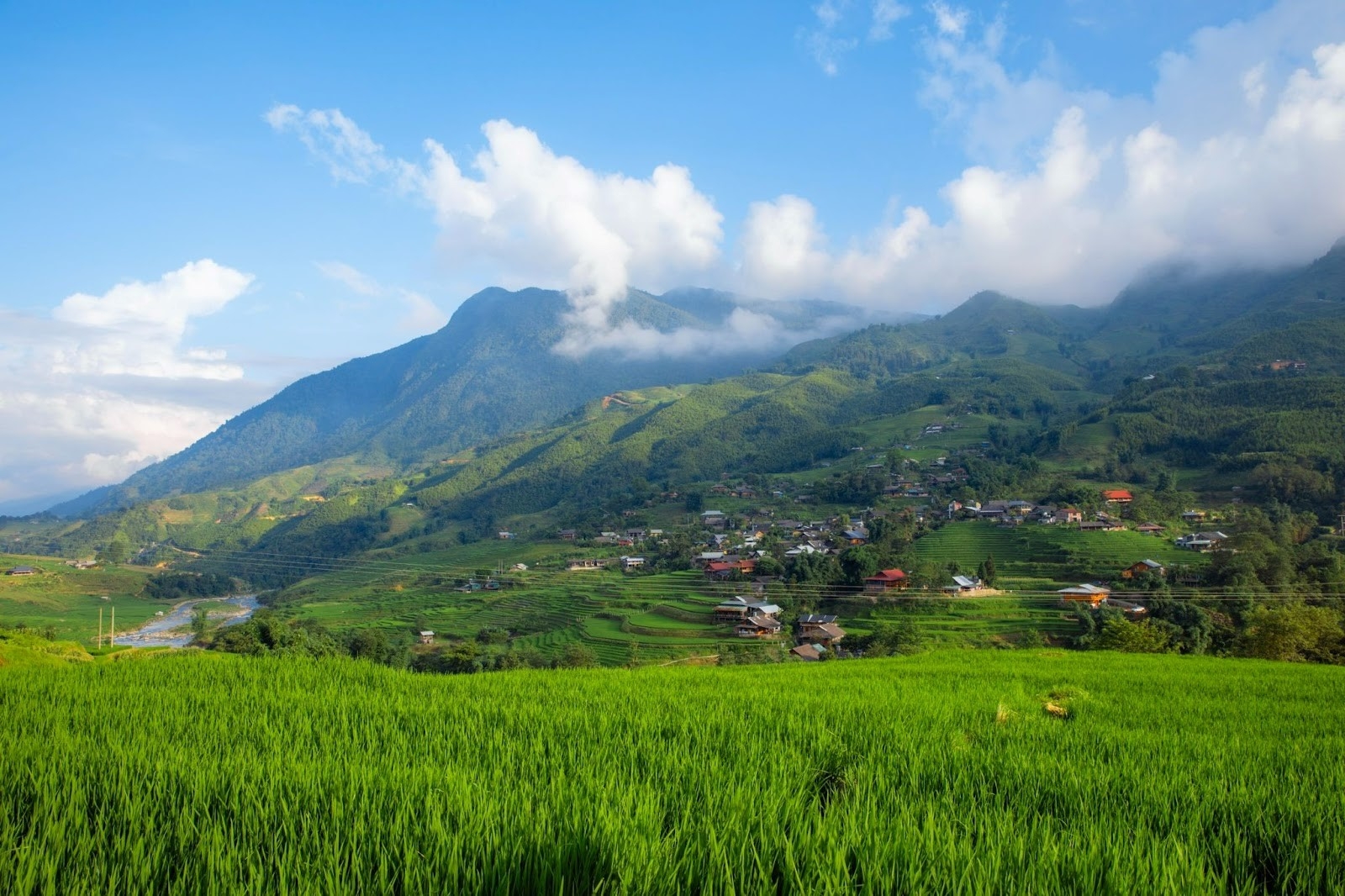 Vẻ đẹp siêu thực của Sa Pa mùa lúa xanh Vẻ đẹp siêu thực của Sa Pa mùa lúa xanh