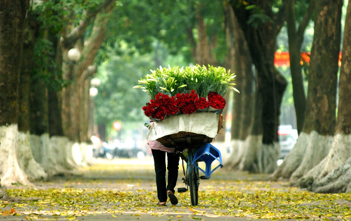 Chút lá vàng tô điểm cho vẻ đẹp mùa Thu Hà Nội