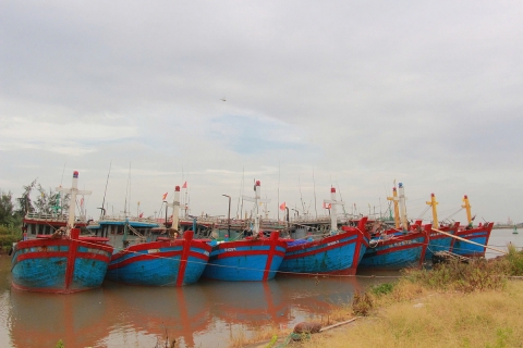 Thái Bình, Nam Định, Ninh Bình, Hà Nam tập trung phòng, chống bão Yagi