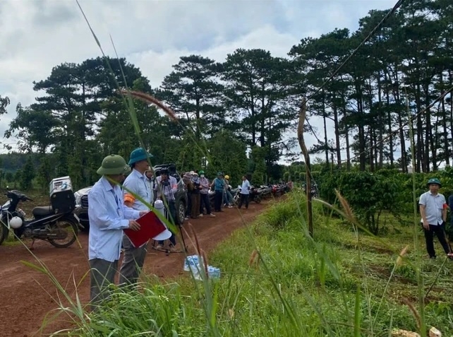 Đắk Nông: Tình trạng phá rừng, lấn chiếm đất rừng diễn biến phức tạp tại Đắk Glong