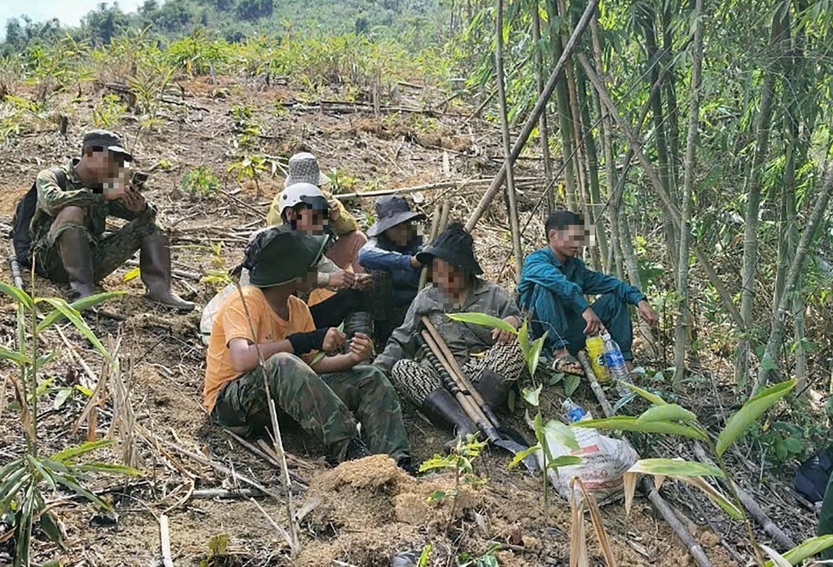 Đắk Nông: Tình trạng phá rừng, lấn chiếm đất rừng diễn biến phức tạp tại Đắk Glong