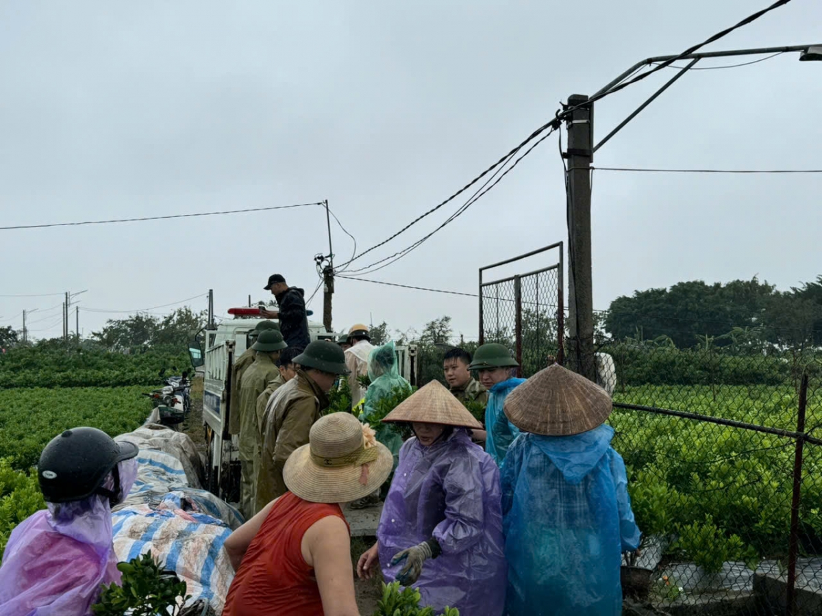 Hưng Yên phát lệnh báo động III trên tuyến đê tả sông Hồng