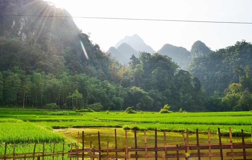 Hòa mình cùng thiên nhiên tại Vườn quốc gia Xuân Sơn