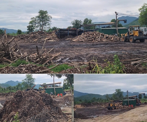 Thị xã Ninh Hòa (Khánh Hòa): Kiến nghị sớm hoàn thiện các thủ tục bảo vệ môi trường của xưởng sản xuất băm dăm Ninh Xuân