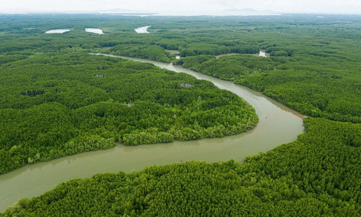 TP. Hồ Chí Minh đặt ra nhiều nhiệm vụ để thúc đẩy tăng trưởng bền vững