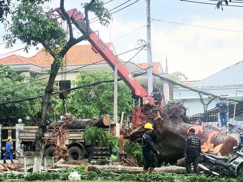 TP. Hồ Chí Minh: Khởi động Hội thi “Bàn tay vàng vì Thành phố sạch, xanh”