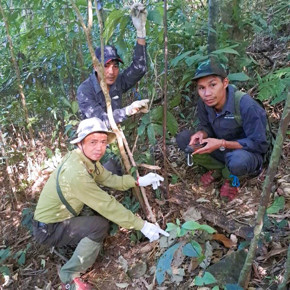 Đội tuần tra, tháo gỡ bẫy động vật rừng bao gồm các thành viên nhận khoán bảo vệ rừng và cán bộ kiểm lâm tiểu khu thực hiện nhiệm vụ bảo vệ sự sống của các loài động vật hoang dã trước mối đe dọa từ hoạt động săn bắt, bẫy bắt trái pháp luật.