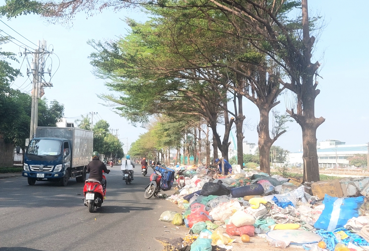 TP. Hồ Chí Minh: Đề nghị xử lý dứt điểm tình trạng ô nhiễm môi trường xung quanh các chợ đầu mối