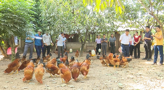 Đồng Hỷ (Thái Nguyên): Phát triển nông nghiệp theo hướng xanh, sạch