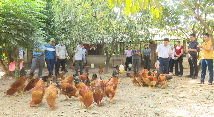 Đồng Hỷ (Thái Nguyên): Phát triển nông nghiệp theo hướng xanh, sạch