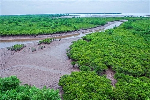 Chiến lược khai thác, sử dụng bền vững tài nguyên, bảo vệ môi trường biển và hải đảo đến năm 2030, tầm nhìn năm 2050 tại Nam Định