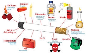 Lo ngại thuốc lá lậu tăng mạnh