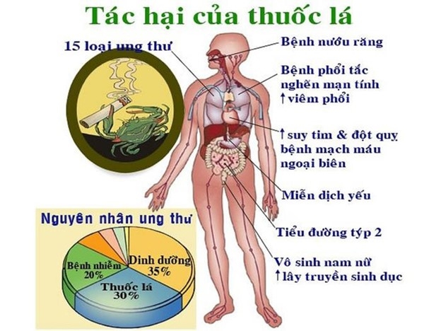 Hải Phòng: Đa dạng hình thức tuyên truyền phòng chống tác hại thuốc lá