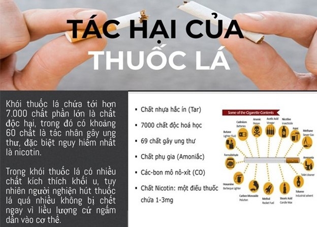 Thanh Hóa: Tăng cường công tác tuyên truyền phòng chống tác hại thuốc lá tại các trường học