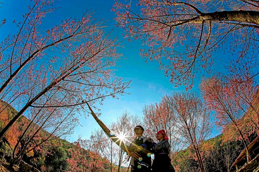 Đón Tết truyền thống của đồng bào dân tộc H’Mông