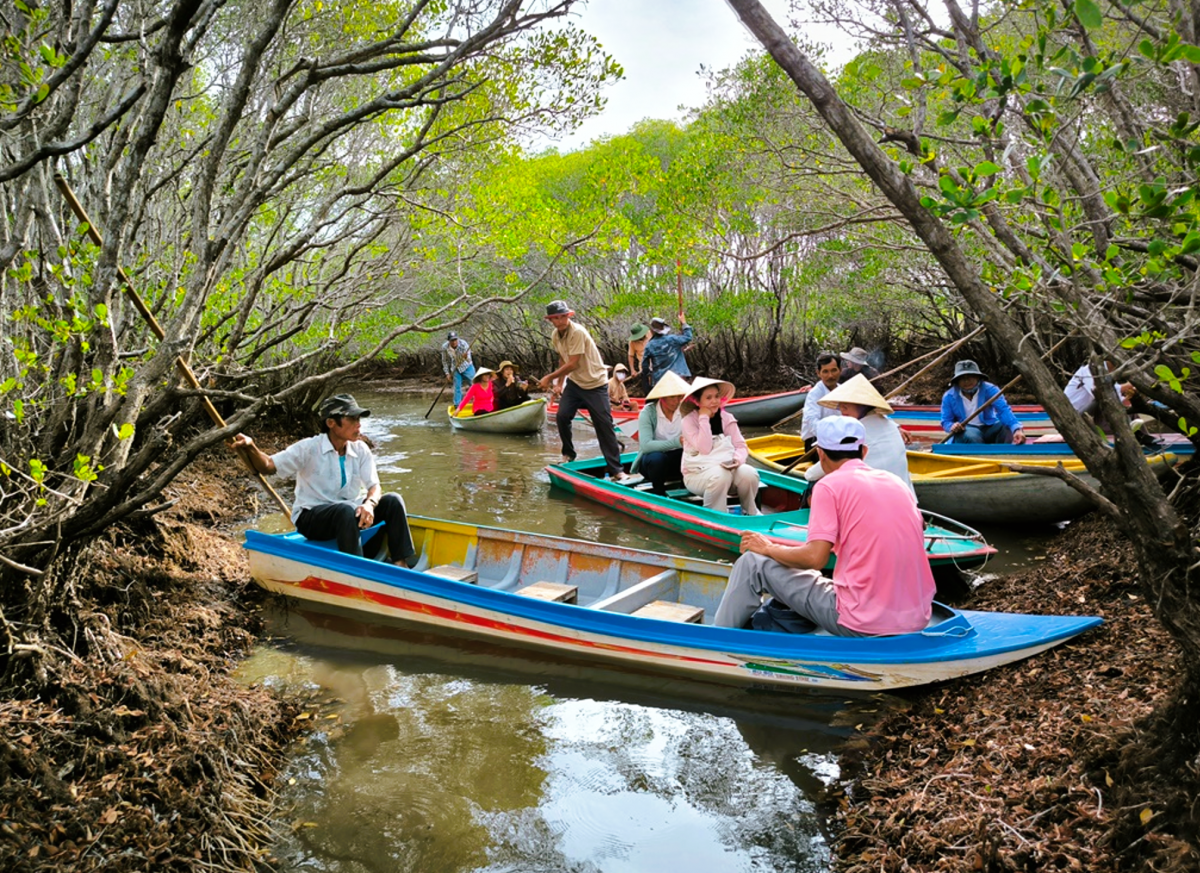 Vẻ đẹp hoang sơ của Cánh rừng ngập mặn Bàu Cá Cái (huyện Bình Sơn) thu hút du khách (Ảnh: HY)