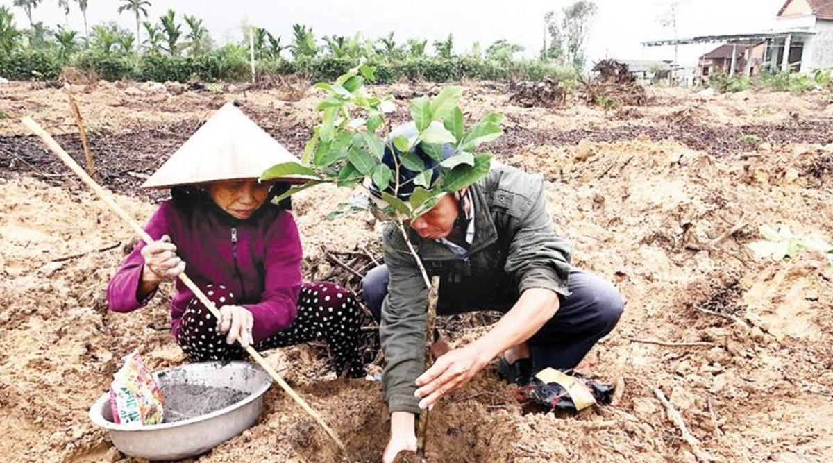 Sản phẩm phân bón ủ từ rác thải hữu cơ được người dân sử dụng để bón lót cho cây trồng.