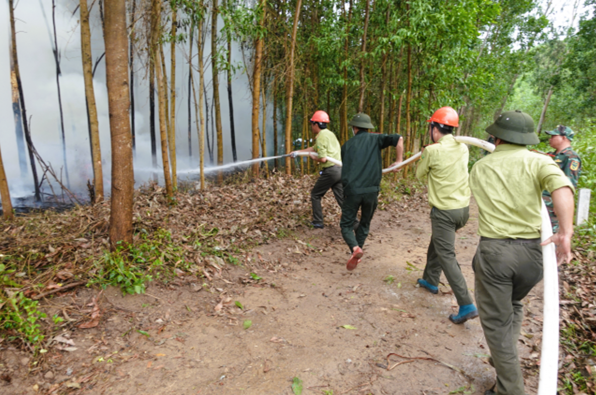 Nhờ có hệ thống cảnh báo cháy rừng sớm đã kịp thời kiểm tra, xác minh các điểm cháy để chữa cháy kịp thời