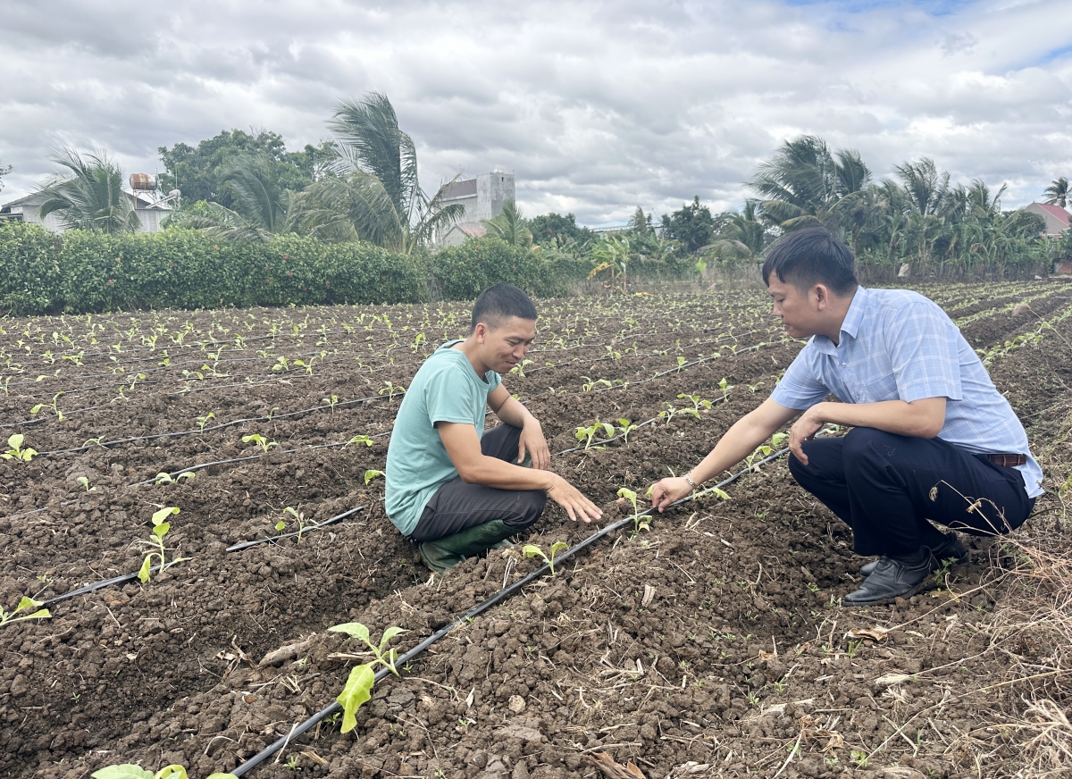 Phú Thiện (Gia Lai): Anh Rcom Tuấn Anh người dân tộc thiểu số J’rai làm kinh tế giỏi