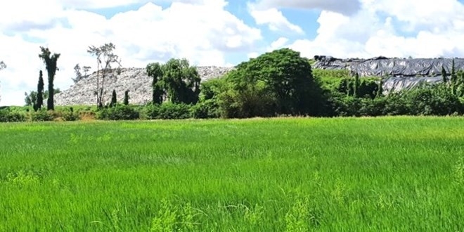 Bãi rác tập trung tại xã Vĩnh Lợi, tỉnh Cà Mau quá tải nhiều năm nhưng nay vẫn phải tiếp nhận do khu vực tỉnh Bạc Liêu cũ không có nhà máy xử lý rác.