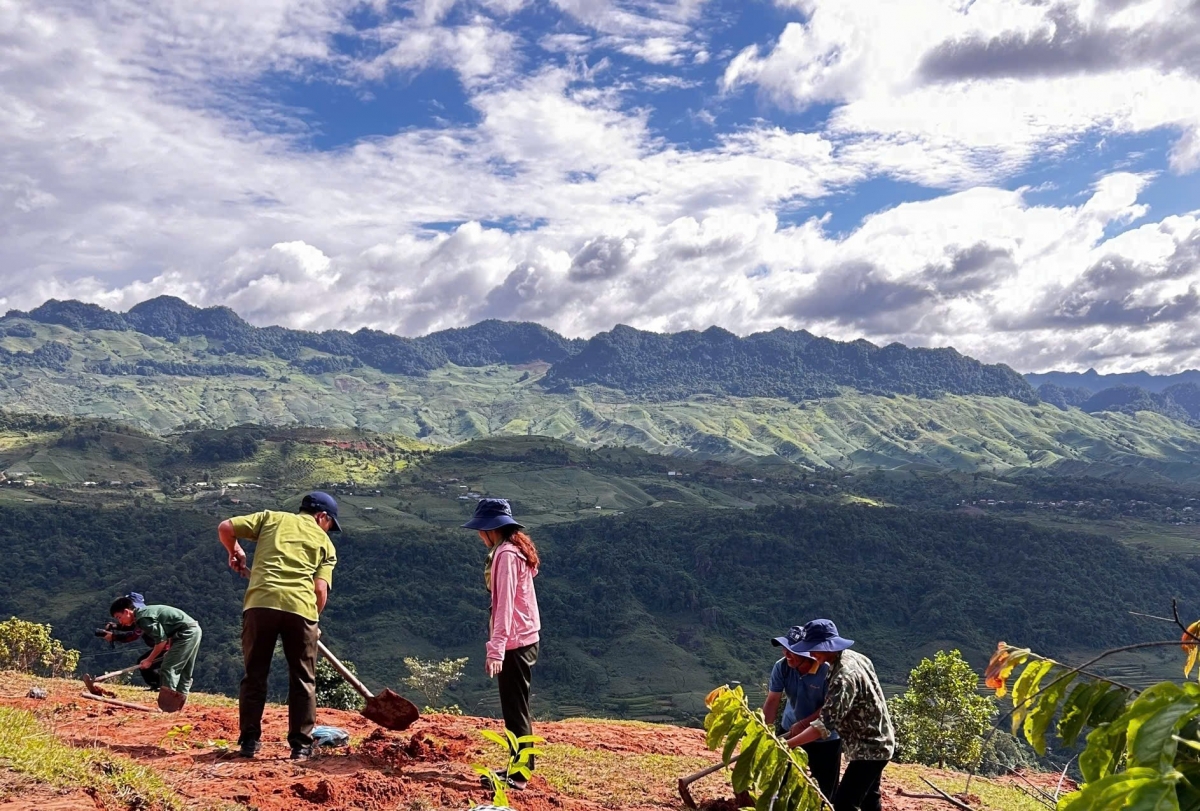 Góp lá vá rừng 2025: Hành trình phục hồi rừng bền vững