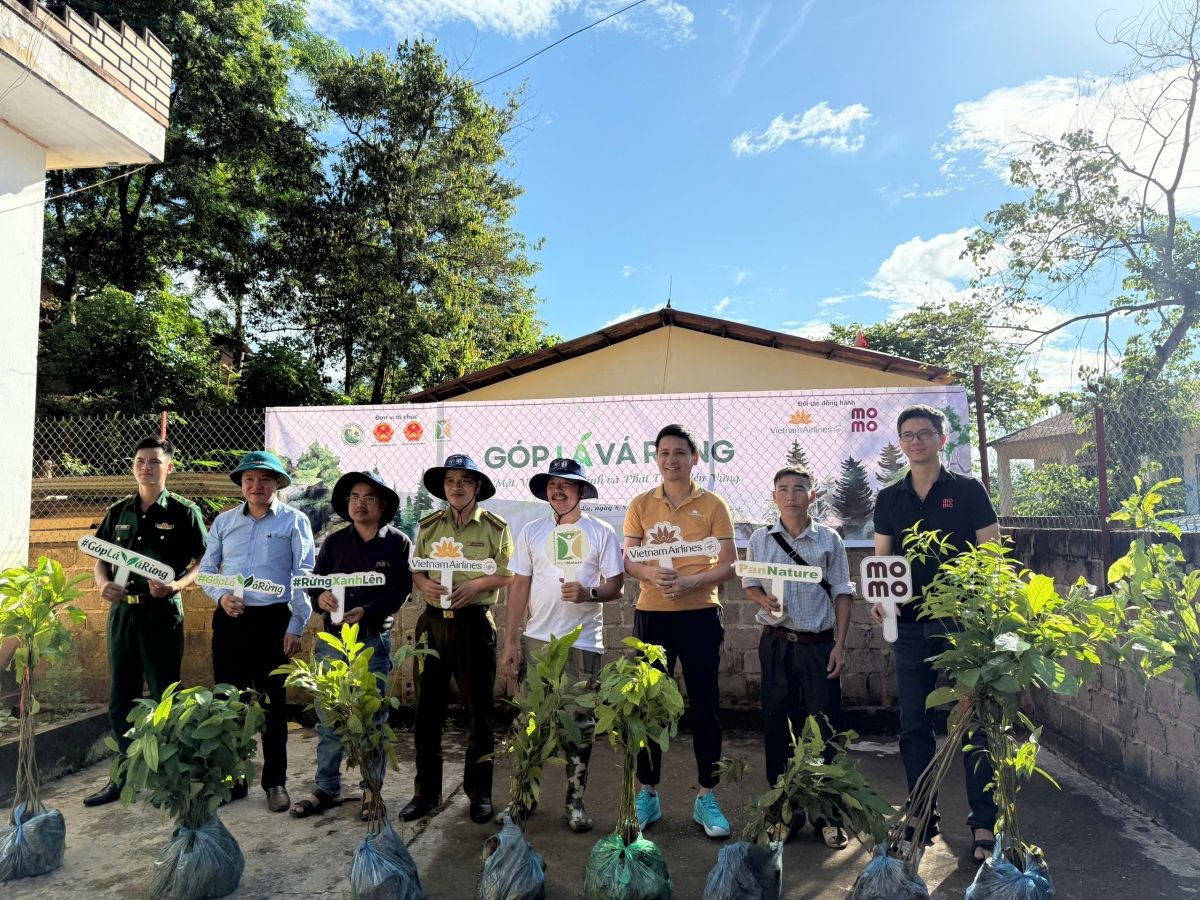 Góp lá vá rừng 2025: Hành trình phục hồi rừng bền vững