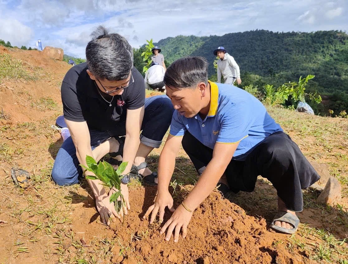 Góp lá vá rừng 2025: Hành trình phục hồi rừng bền vững