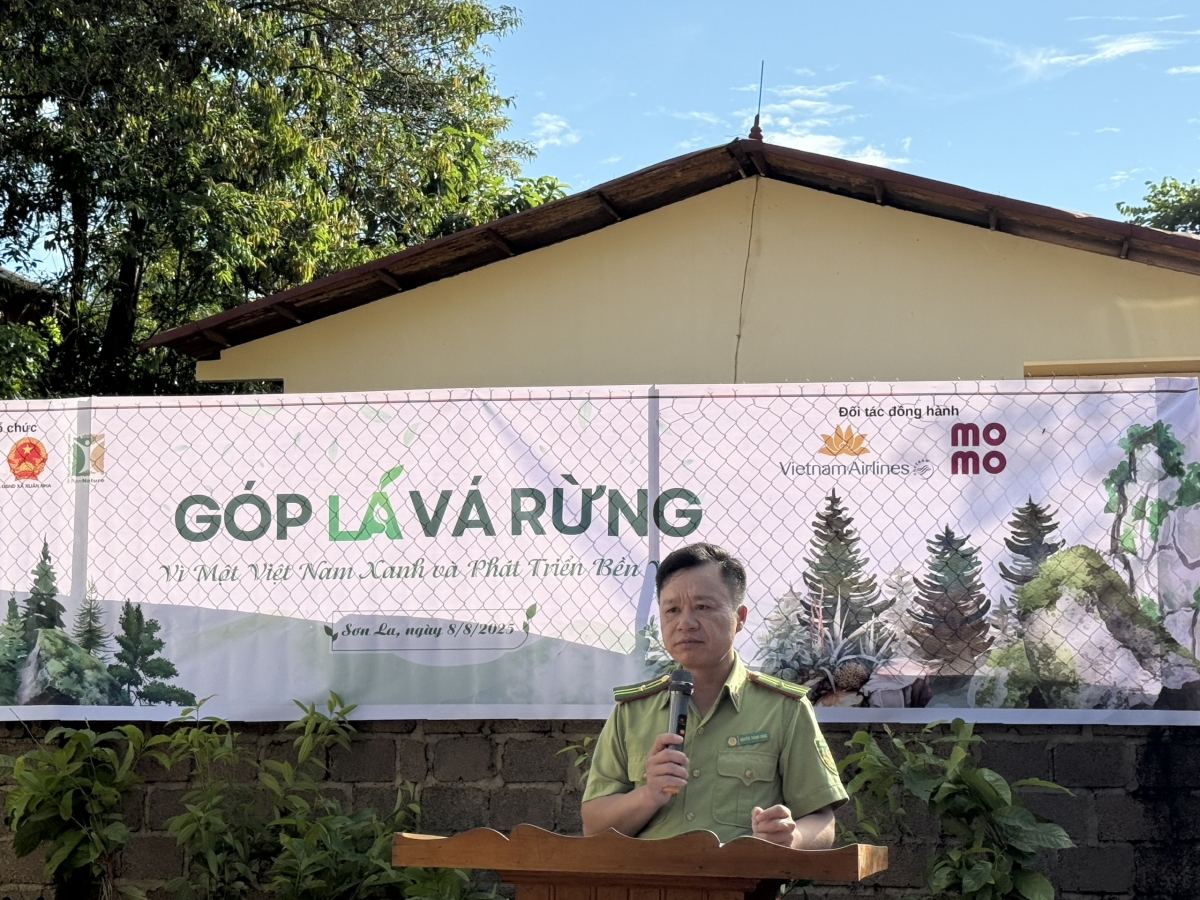 Góp lá vá rừng 2025: Hành trình phục hồi rừng bền vững