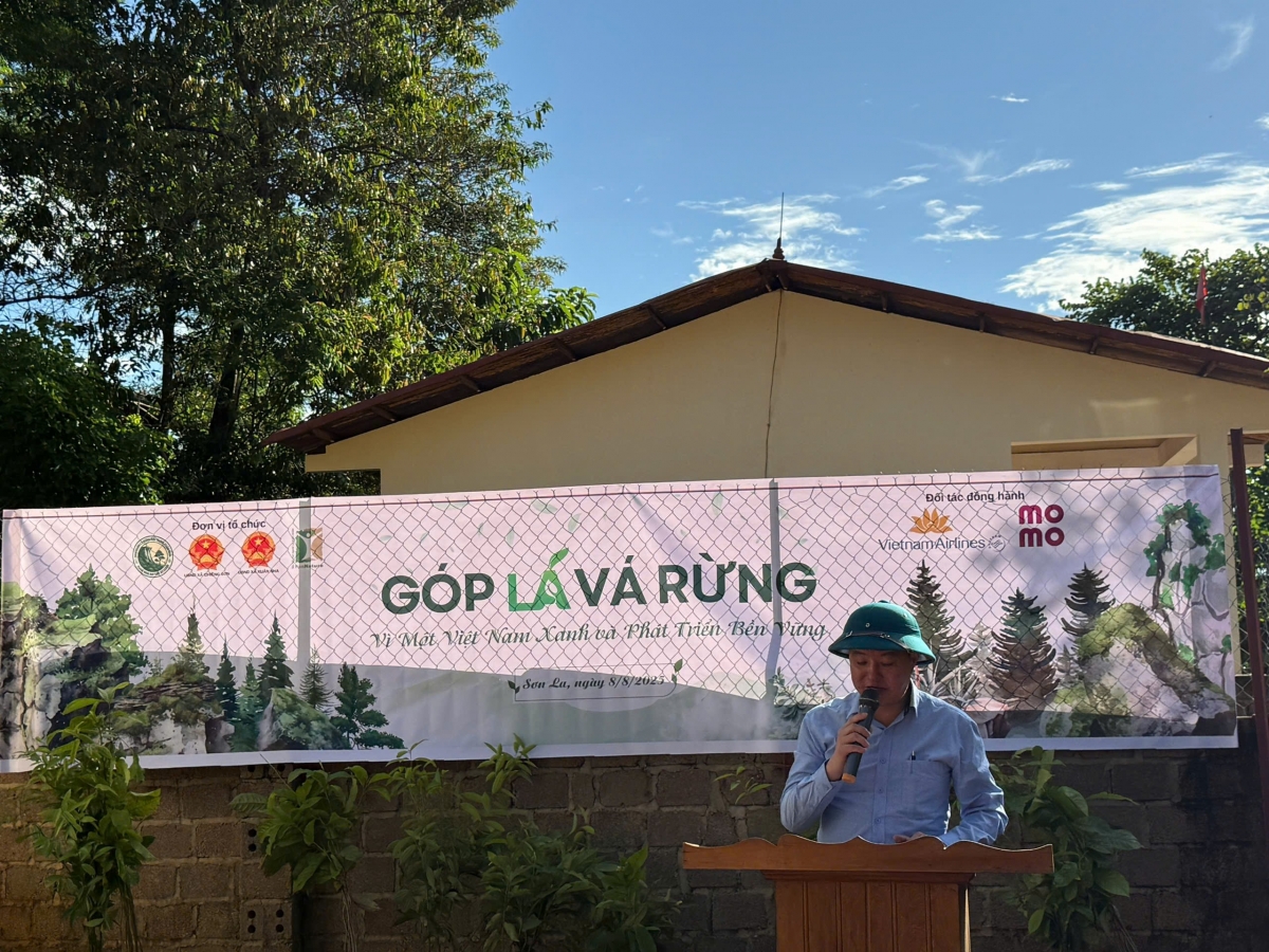 Góp lá vá rừng 2025: Hành trình phục hồi rừng bền vững