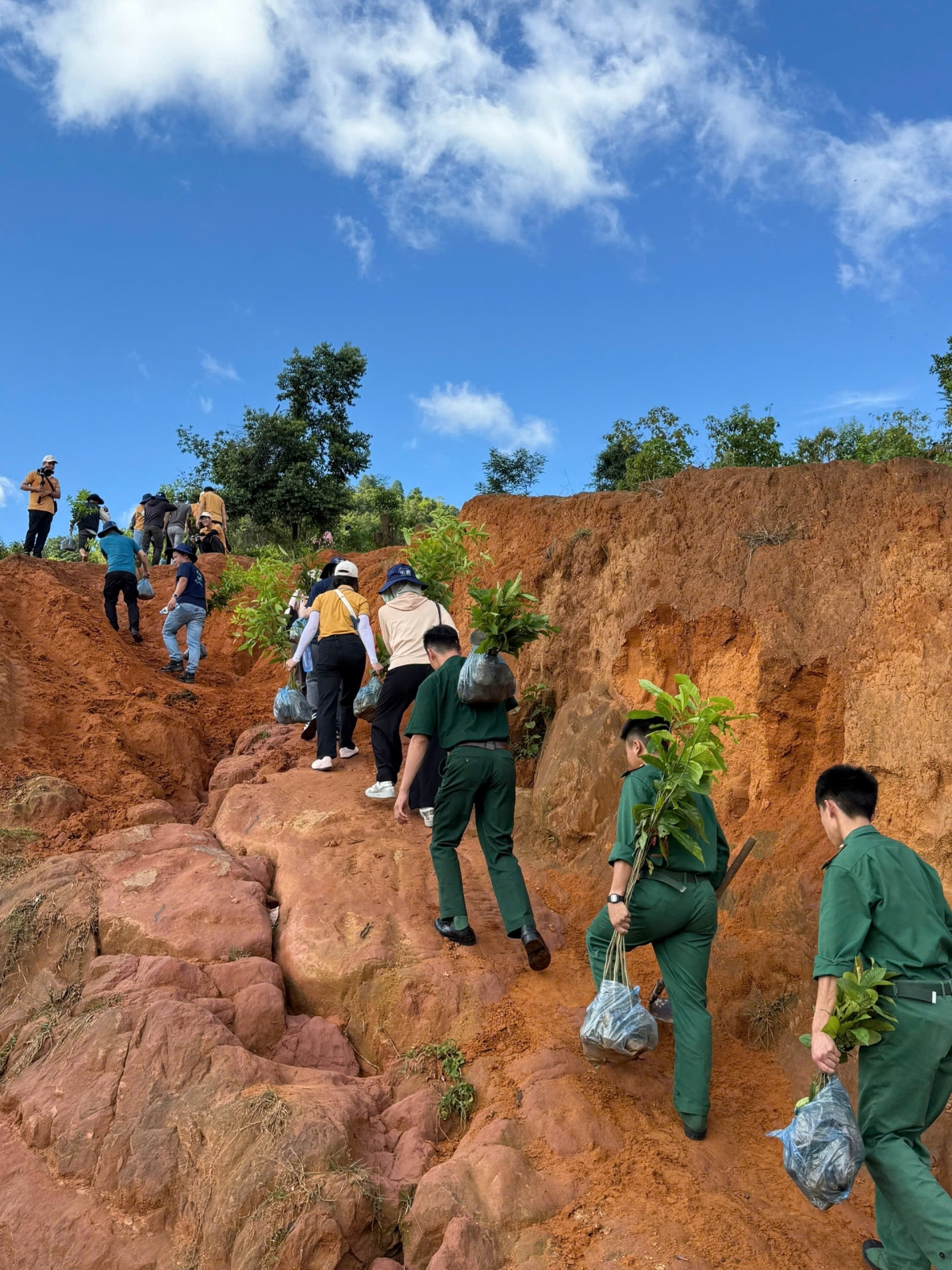 Góp lá vá rừng 2025: Hành trình phục hồi rừng bền vững