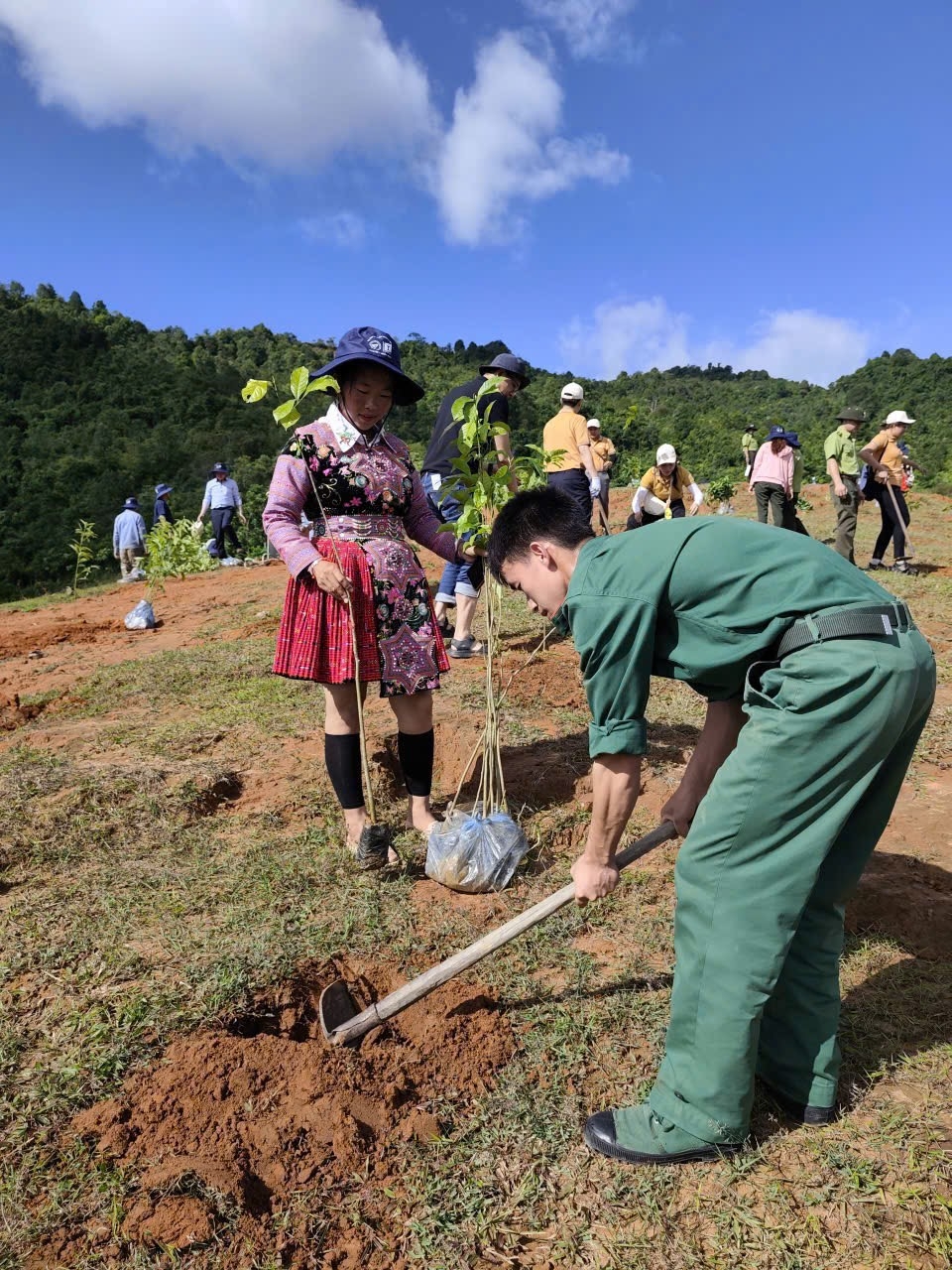 Góp lá vá rừng 2025: Hành trình phục hồi rừng bền vững