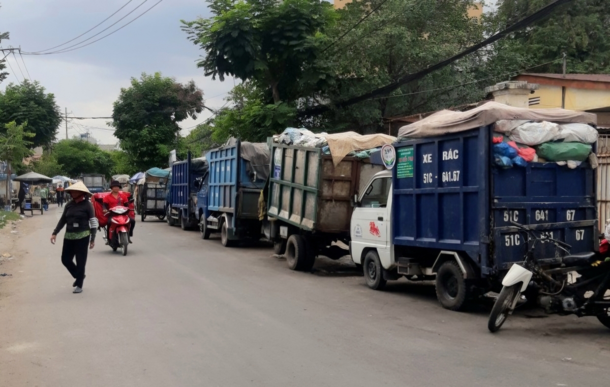 TP. Hồ Chí Minh triển khai đồng bộ 5 giải pháp để nâng cao chất lượng môi trường sống