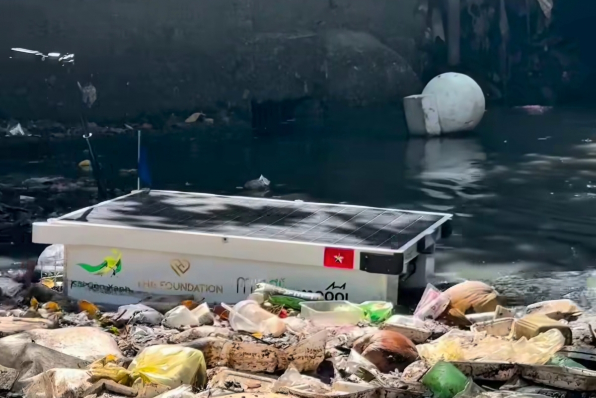 TP. Hồ Chí Minh triển khai đồng bộ 5 giải pháp để nâng cao chất lượng môi trường sống